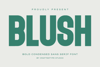 Blush Font for Beautiful, Creative Design Projects
